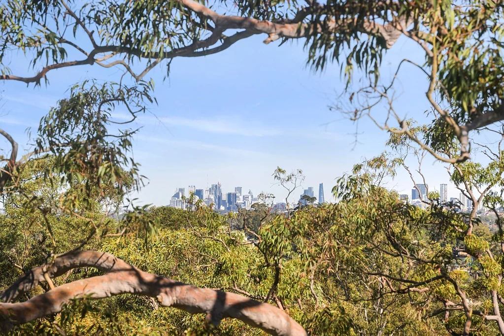 33 Aranda Drive, Davidson, NSW 2085