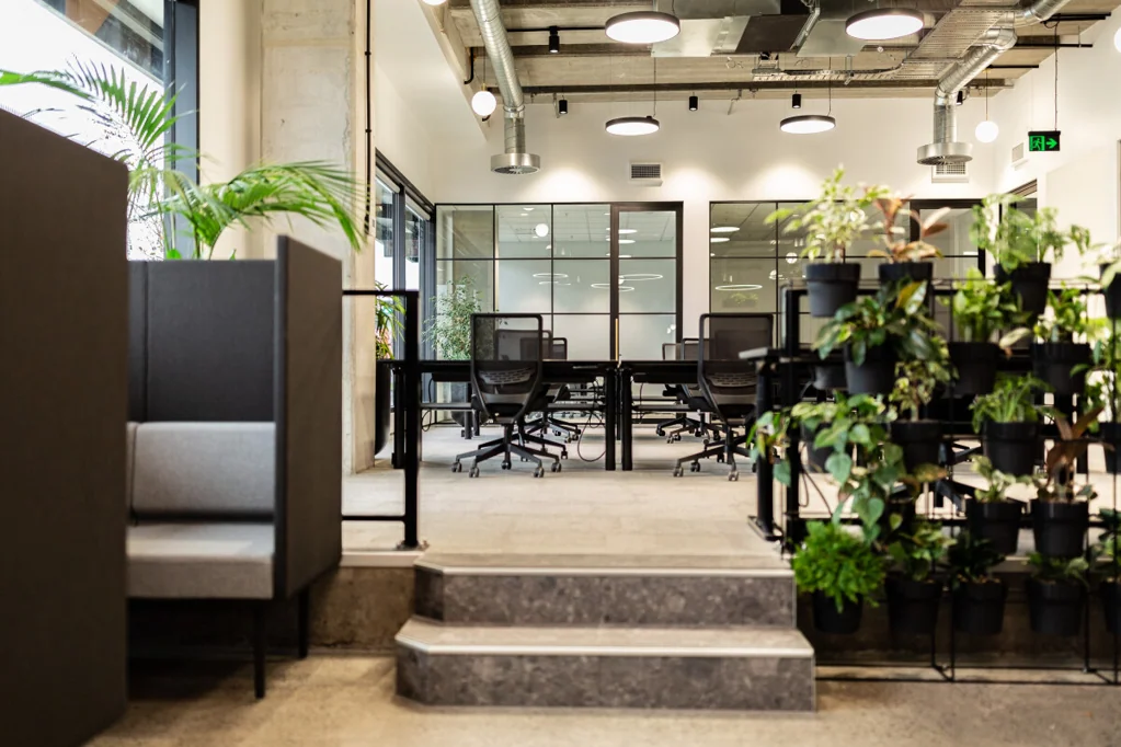 East Tamaki Plug and Play Modern Office