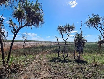 Meade Rd Darwin River, Darwin River, Litchfield, 0 غرف, 0 حمامات, Lifestyle Property