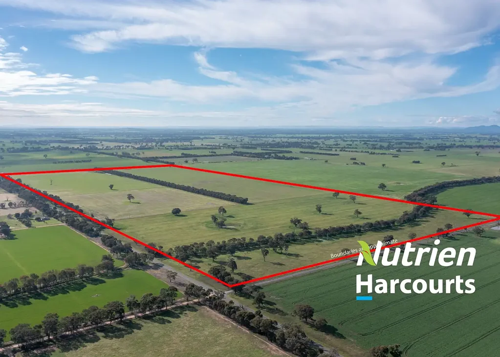 Springhurst 128 Ha "Dinsdales" 317 Ac