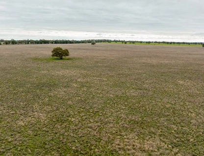 'Starsight', 3074 Grassmere Road, Condobolin, Central Tablelands, 5 ਕਮਰੇ, 2 ਬਾਥਰੂਮ, Lifestyle Property