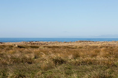 3 Reefview Way, Flat Point, Carterton, Wairarapa, 0房, 0浴, Section