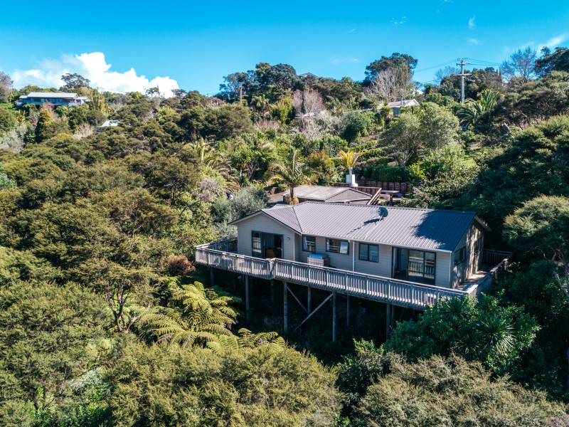 Hauraki Gulf Islands