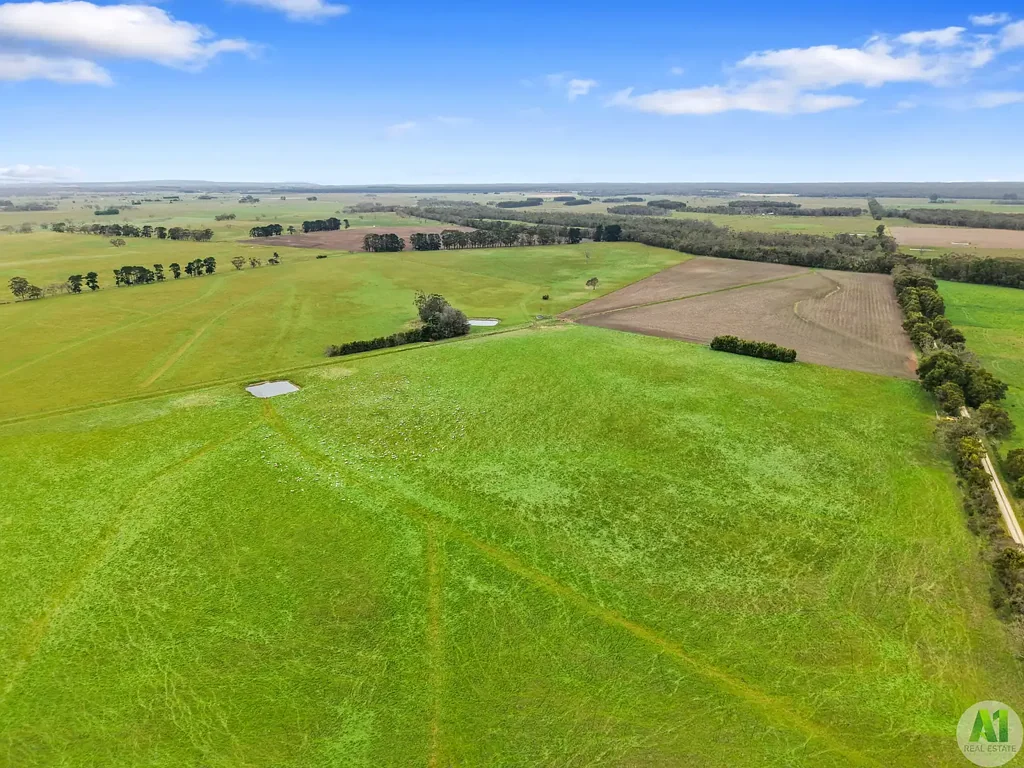Drumborg  Prime Farming Land In High Rainfall Area