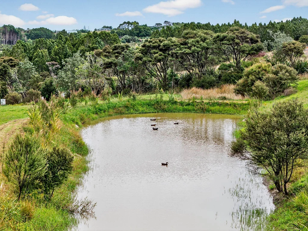Mangawhai Lifestyle Dream