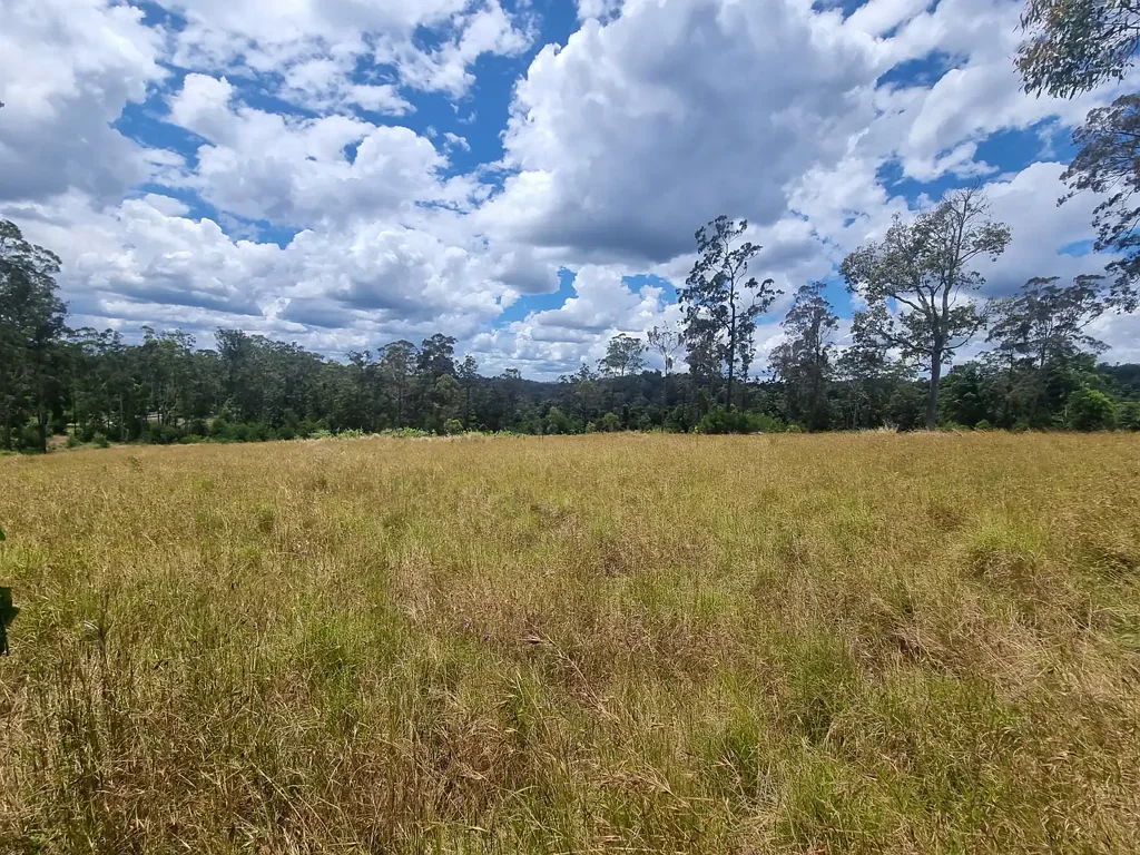 Jimna 600 acre timber block