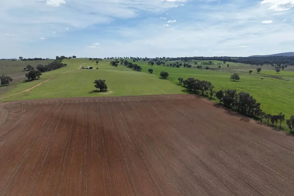  Bumbaldry Road, Greenethorpe, NSW 2809