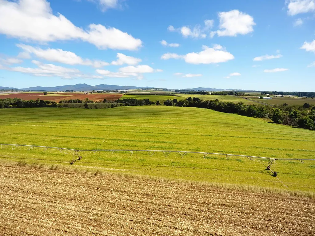 East Barron  FERTILE, FLAT & HIGHLY PRODUCTIVE