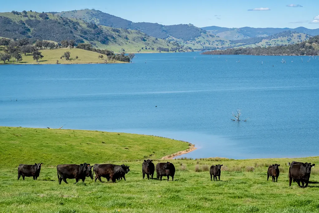 Talgarno MAGNIFICENT HUME WEIR FRONTAGE IN TWO (2) LOTS