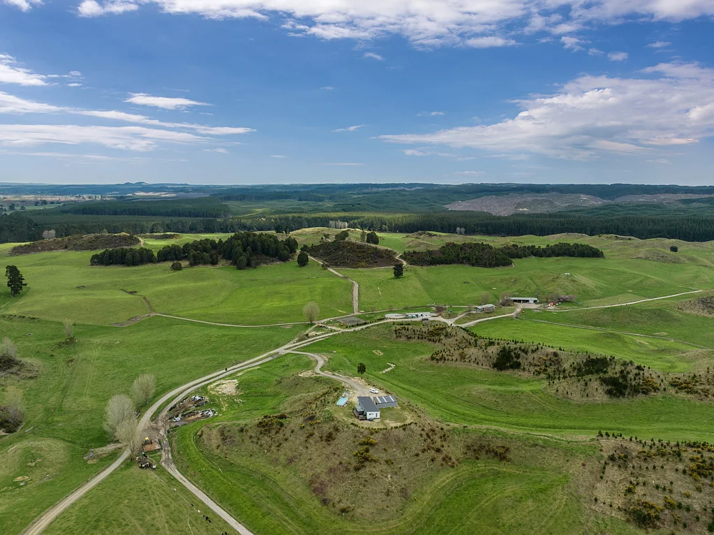 Murupara Surrounds 256ha Winter Milk Supply – Immediate Takeover