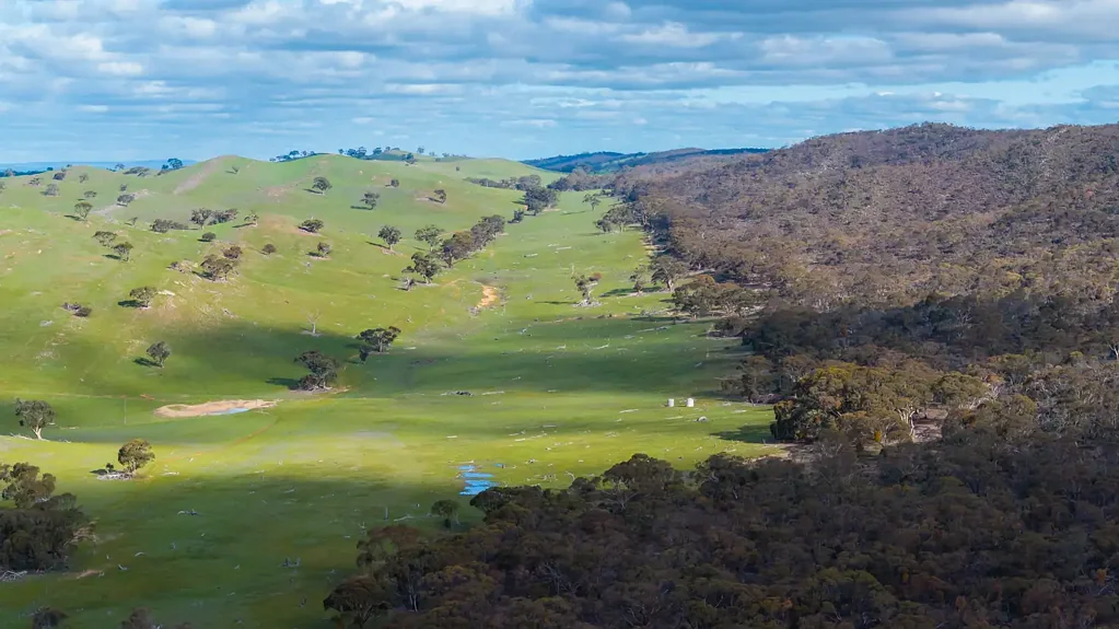 Ngapala  A Rare Conservation Opportunity in the Tothill Ranges.