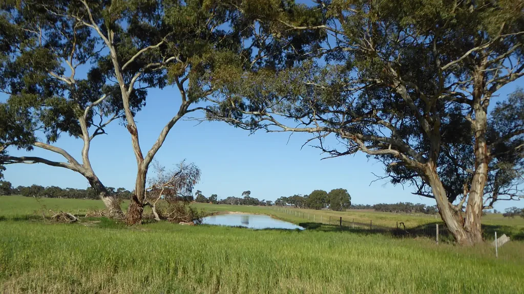 Bordertown Great Start Up/Lifestyle Block