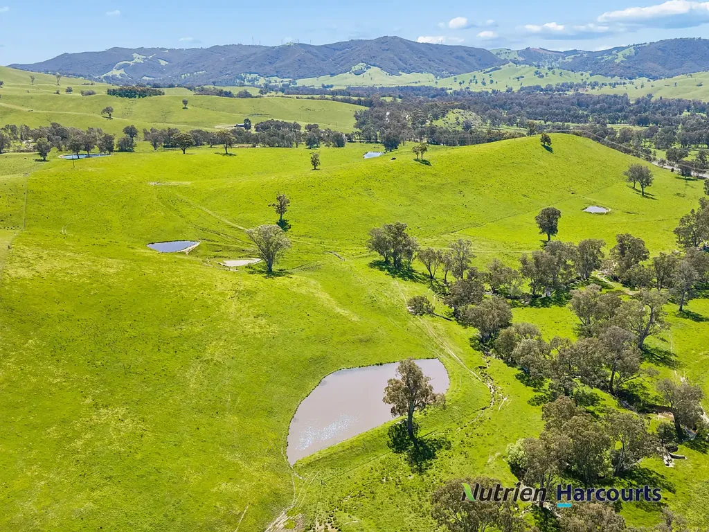 Homewood Productive Grazing Country with Exceptional Water Security