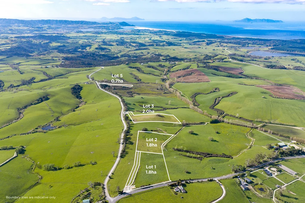 Te Arai Elevated coastal living , Te Arai