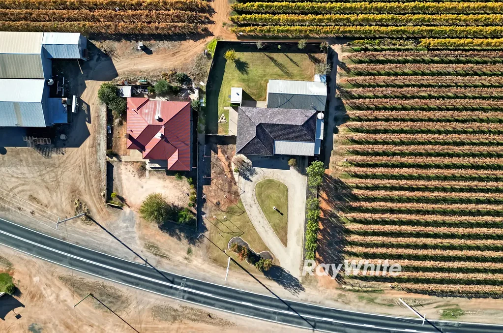 91 Cary Street, Euston, NSW 2737