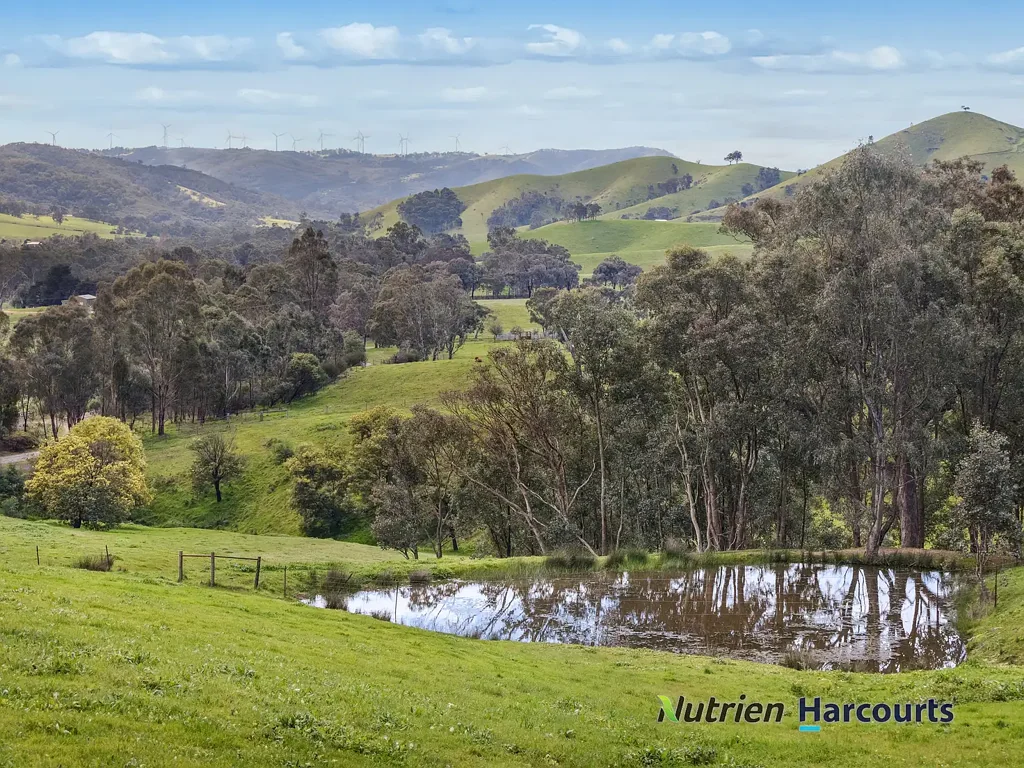 Strath Creek Picturesque Lifestyle Retreat