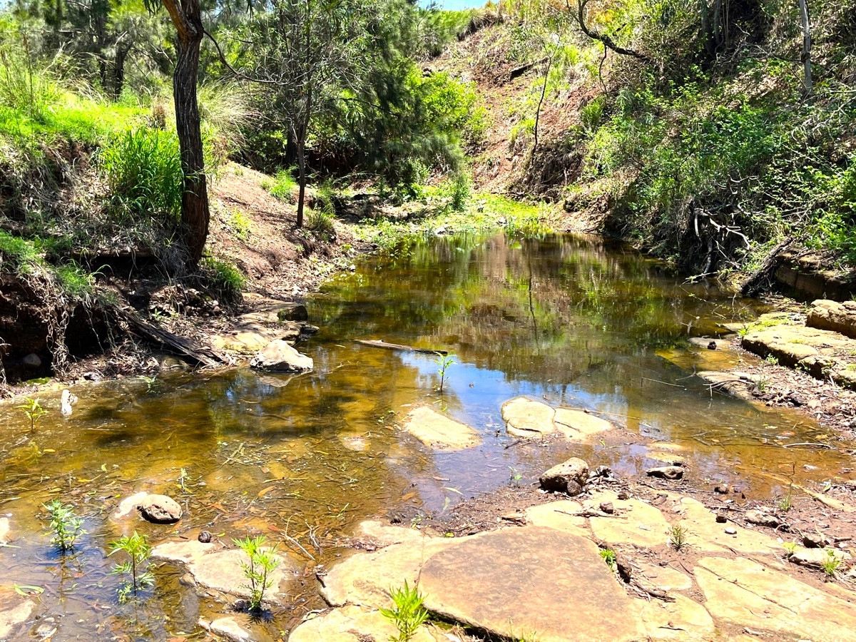 508 TARPAULIN RD, COALBANK QLD 4352, 0房, 0浴, Section