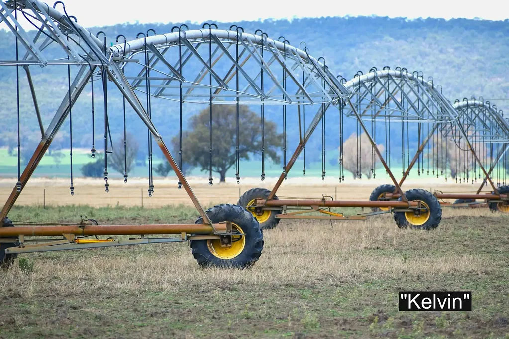 Forbes Bedgerabong Aggregation, Great opportunity to put three quality parcels of fertile river soil country together to create your own fodder factory