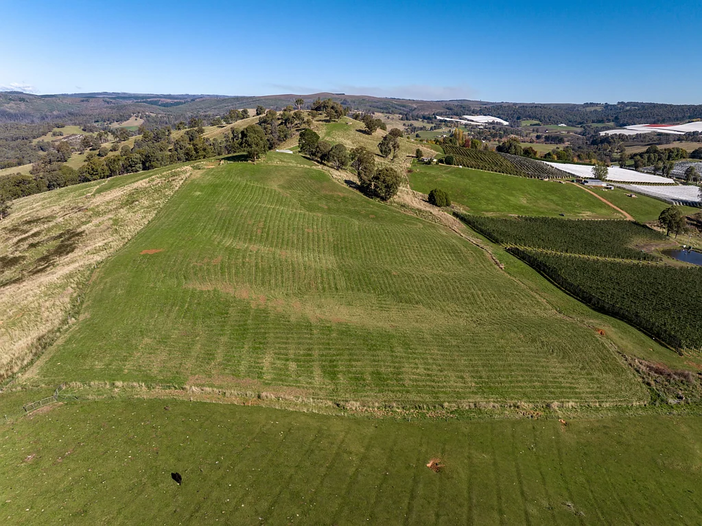 Batlow Exceptional Snowy Valleys District Production & Lifestyle