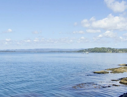 314 Dobell Drive, Wangi Wangi, NSW 2267, 0 Kuwarto, 0 Banyo, Section
