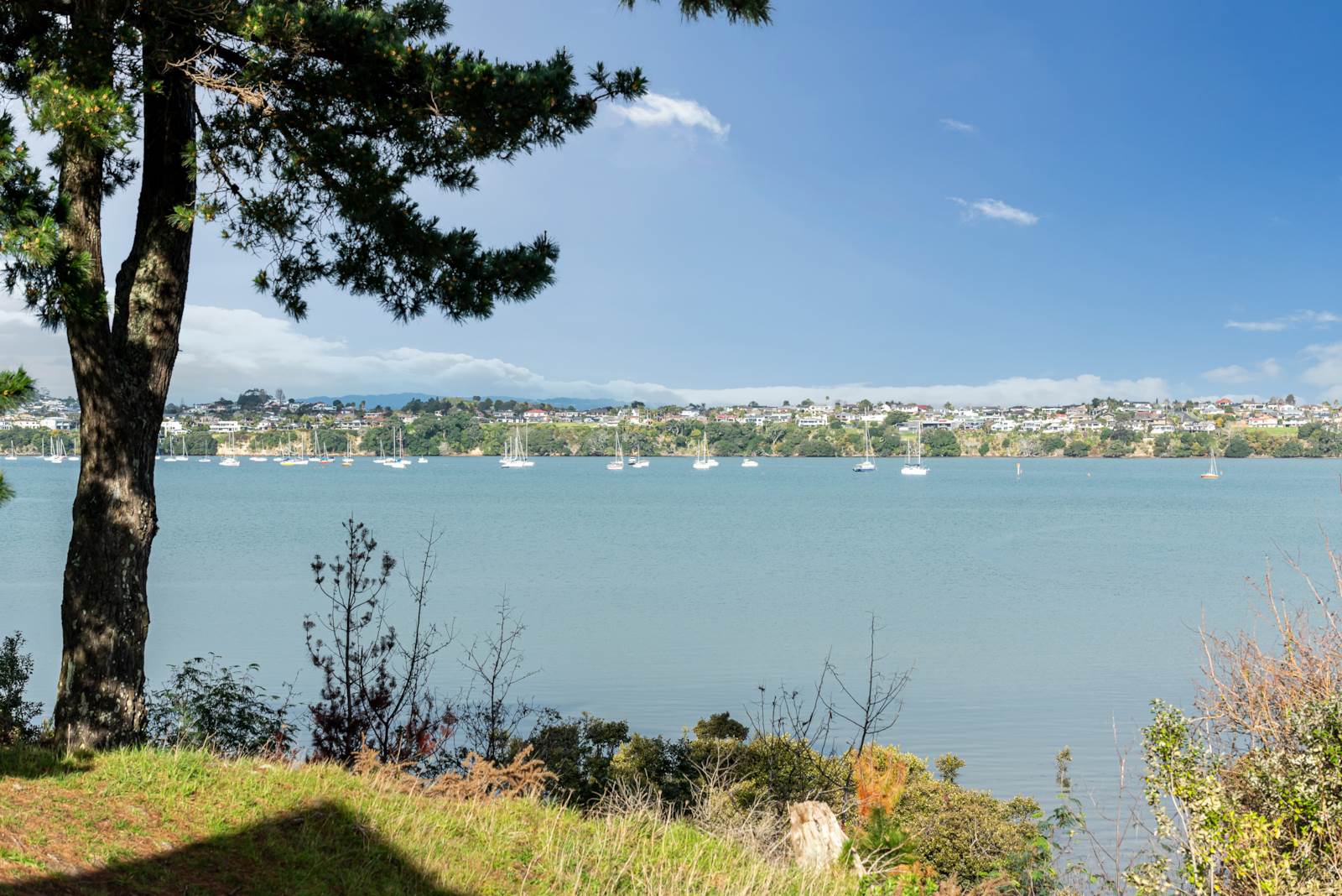 52a Silverton Avenue, Wai O Taiki Bay, Auckland, 5 Kuwarto, 0 Banyo