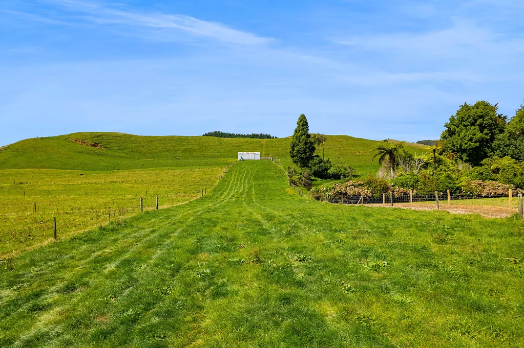 New Plymouth Central CREATE YOUR LIFESTYLE ON MANGOREI ROAD