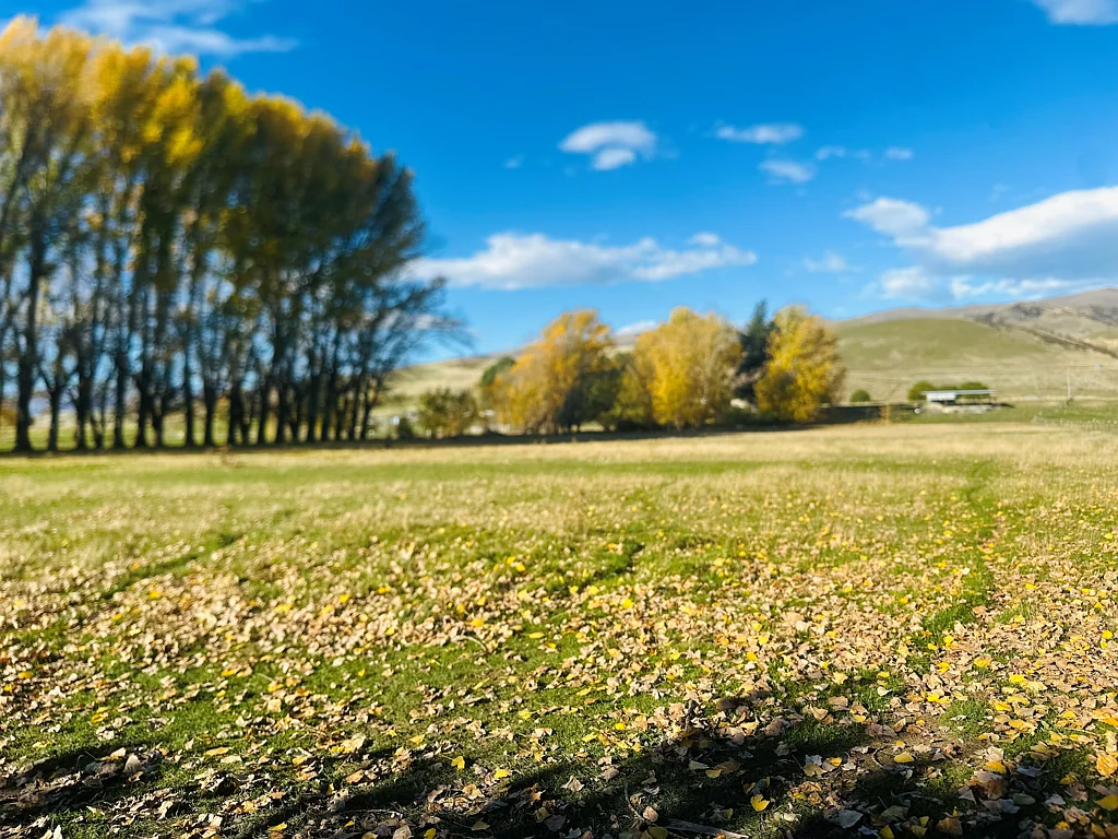 779 Ardgour Road, Tarras, Central Otago, Otago