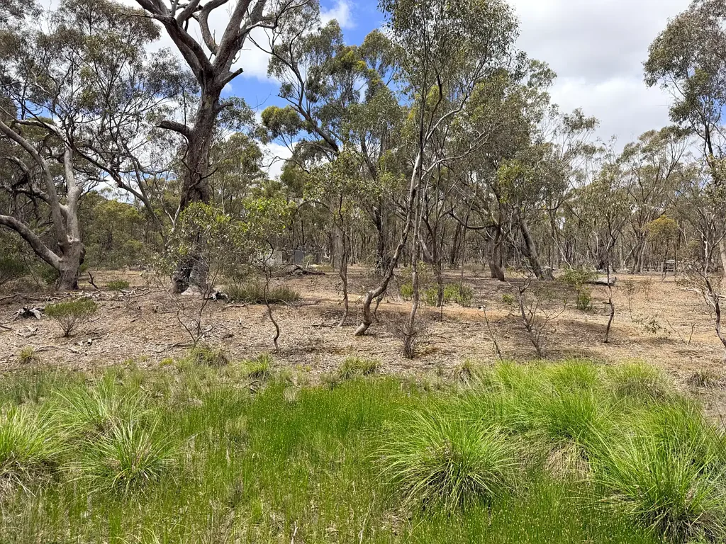 Allotment 1A Wimmera Highway, St Arnaud, VIC 3478