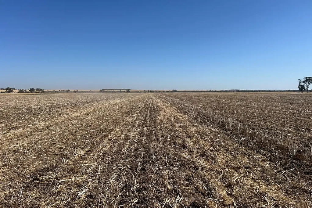  Dwarlacking Road, Bulyee, WA 6306
