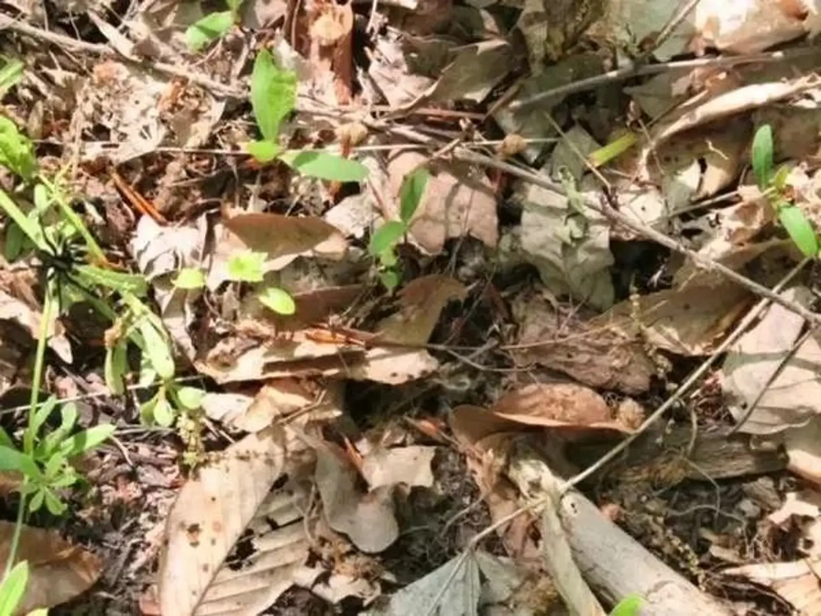 喜讯：“秀恩爱，死得快”有了新证据