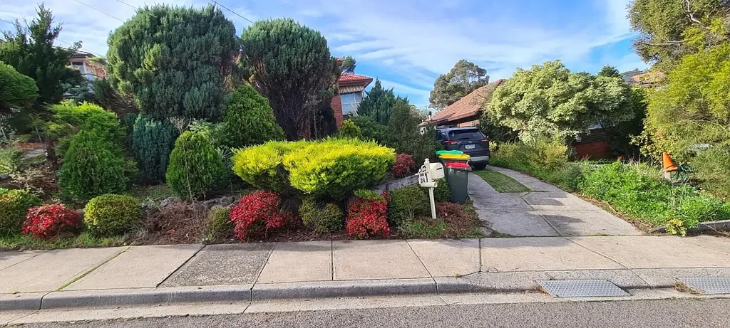 Maribyrnong River View