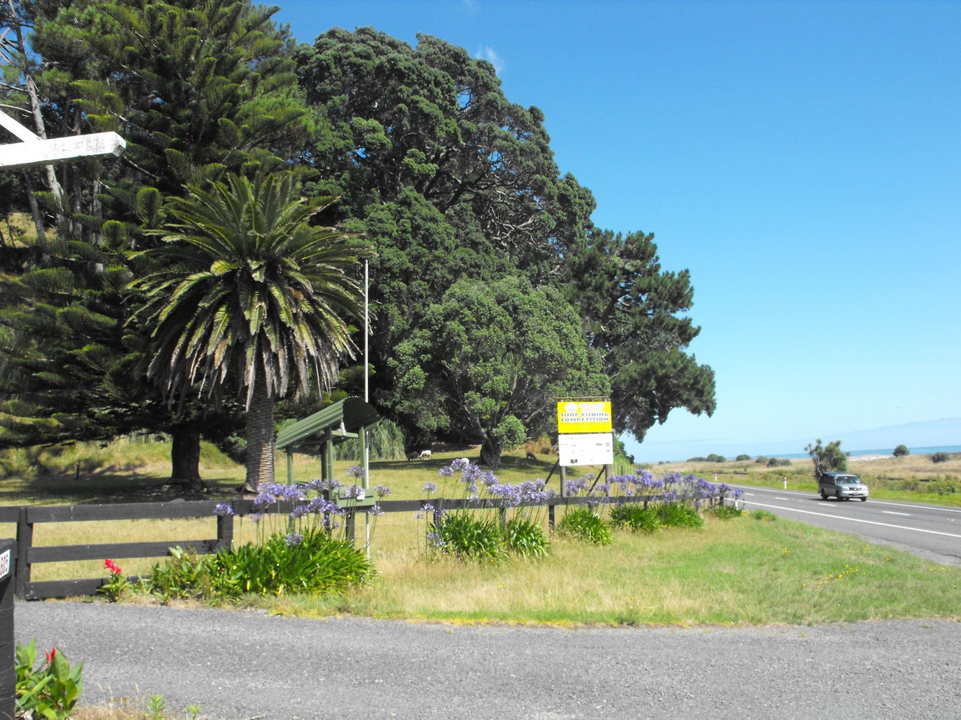 603 State Highway 2 West, Pikowai, Whakatane, 4 rūma, 0 rūma horoi