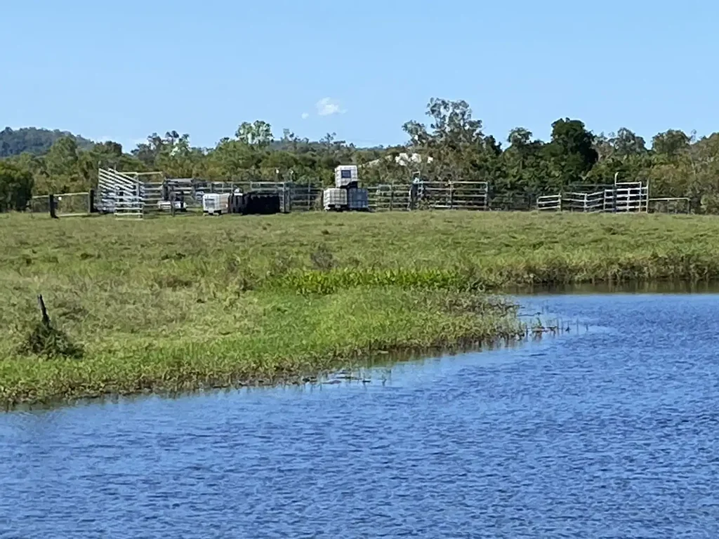 Mount Ossa Breathtaking 82-Acre Riverfront Escape Grazing, Fishing, Lifestyle and Income Opportunity