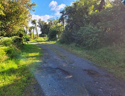 12 Charles Douglas Drive, Franz Josef Glacier, Westland, 0 રૂમ, 0 બાથરૂમ, Section