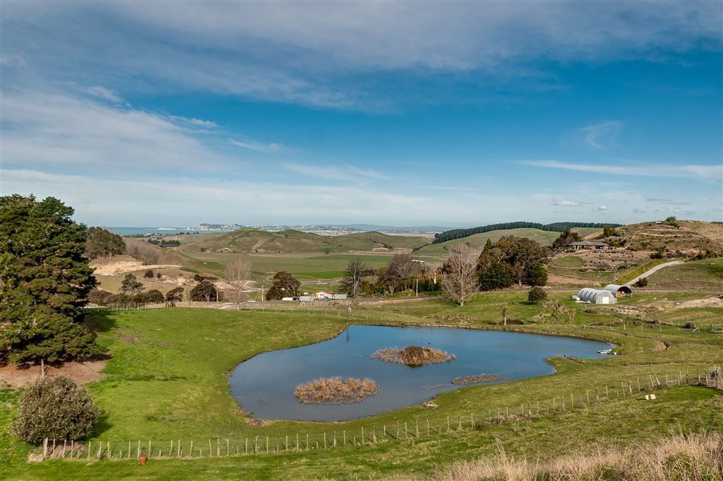 94a Avery Road, Eskdale, Hastings, 4 habitaciones, 0 baños