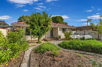 Lockridge 3房  Vacant Home Ready For You: Beautiful Timber Floors - Established Front Gardens - So Much Character!