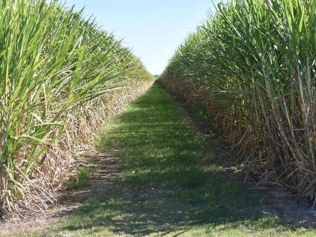 Welcome Creek OPPORTUNITY KNOCKS!  With 146megs of Water, Close to Moore Park Beach.