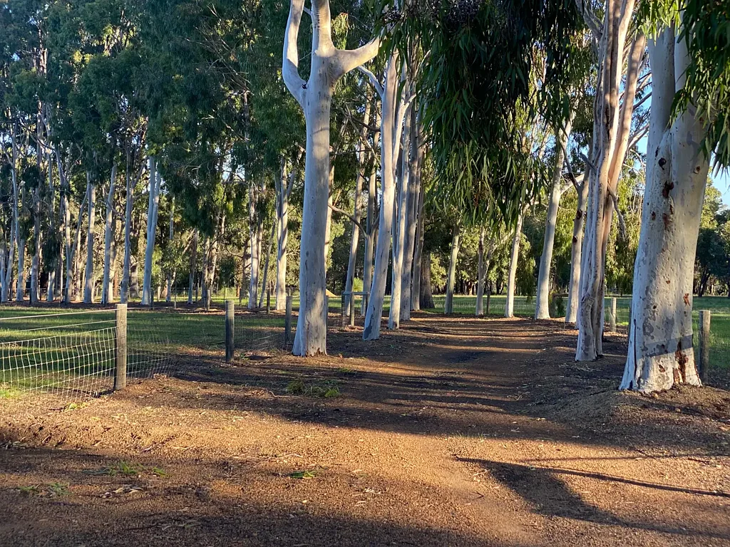 Proposed Lot 104, 1180 Needham Road, Wooroloo, WA 6558