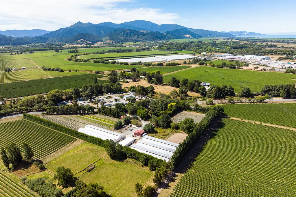 Spring Creek Marlborough strawberries & produce on 2.9 ha land