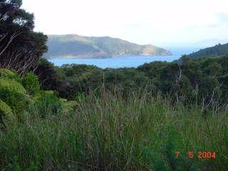 Hauraki Gulf Islands