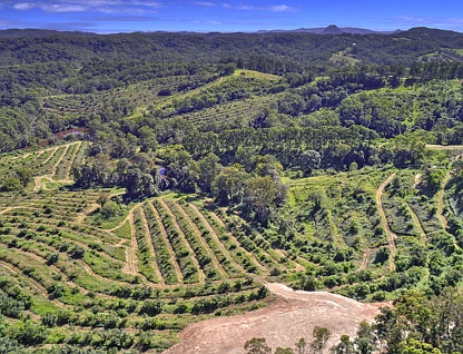 224 Top Forestry Road, Ridgewood, Sunshine Coast, 0房, 0浴, Section