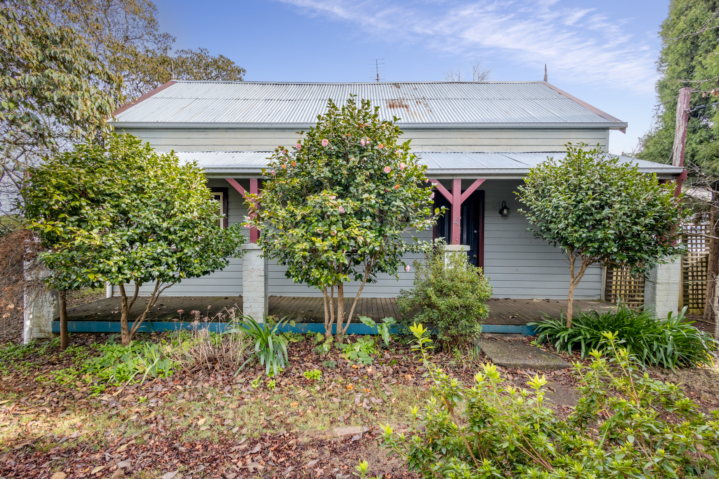 4 HAVILAND AV, BLACKHEATH NSW 2785, 0房, 0浴, House