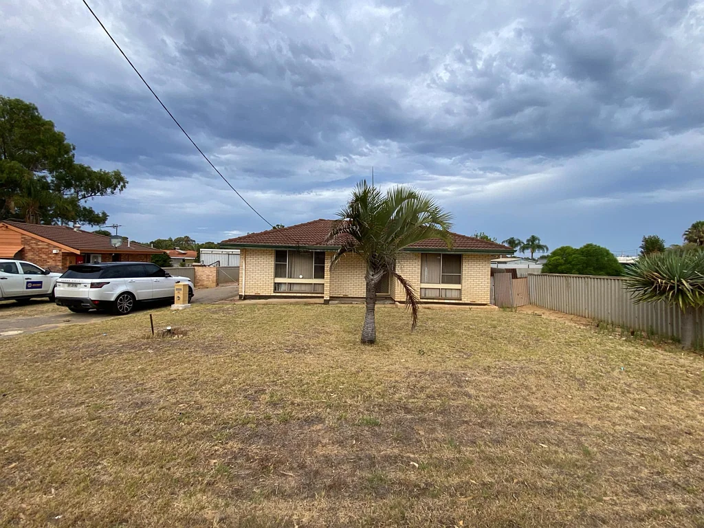 19 Osborne Street, Spalding, WA 6530