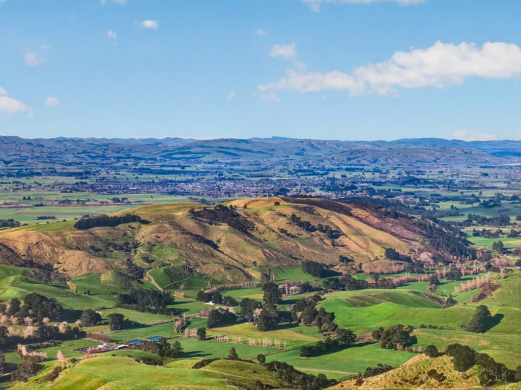 Carterton Elevated, Expansive, Exceptional