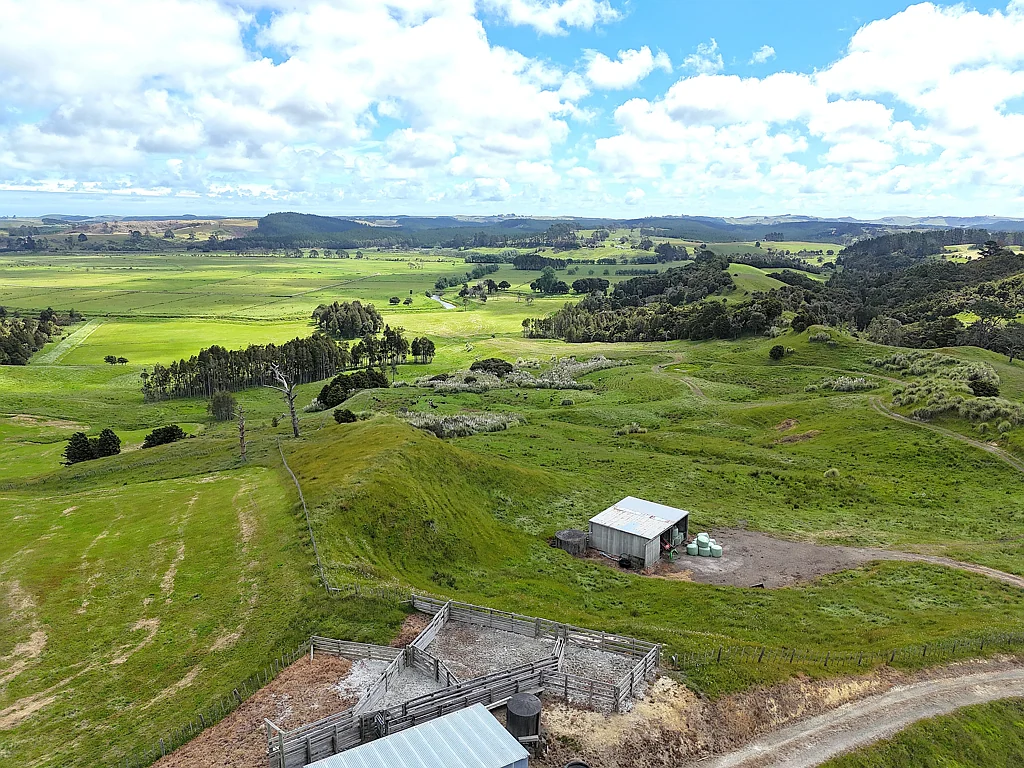 Dargaville Picturesque Grazing Block