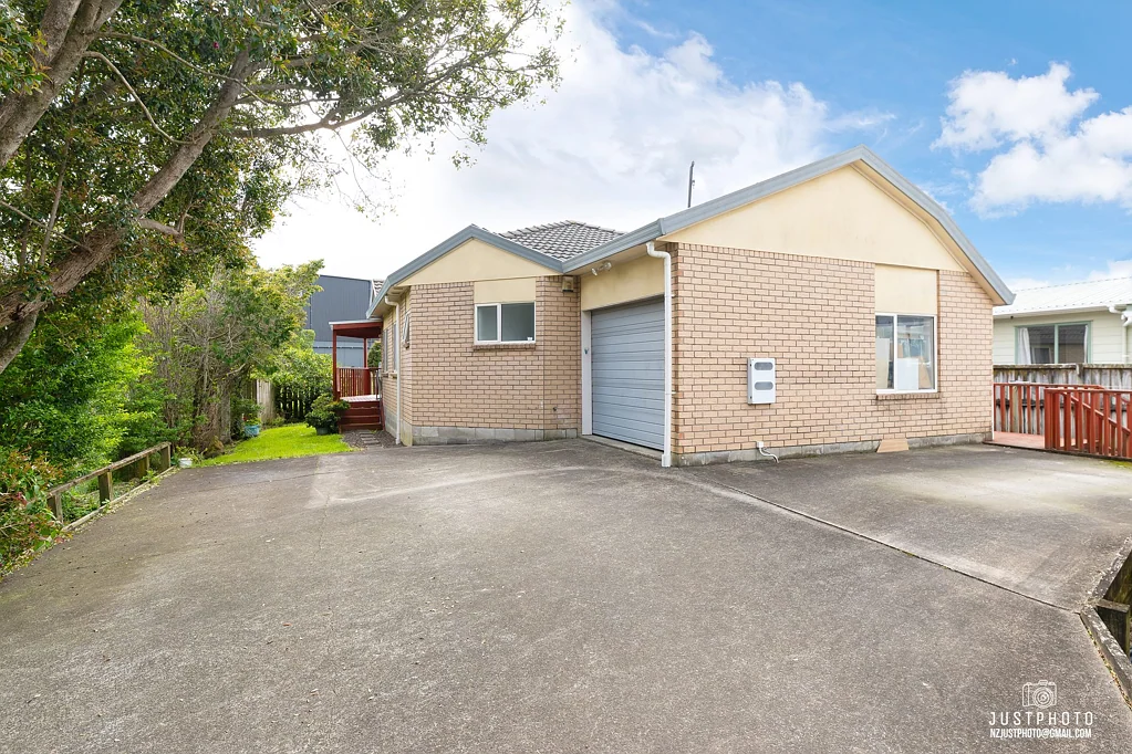 55A marion Avenue Mt Roskill auckland