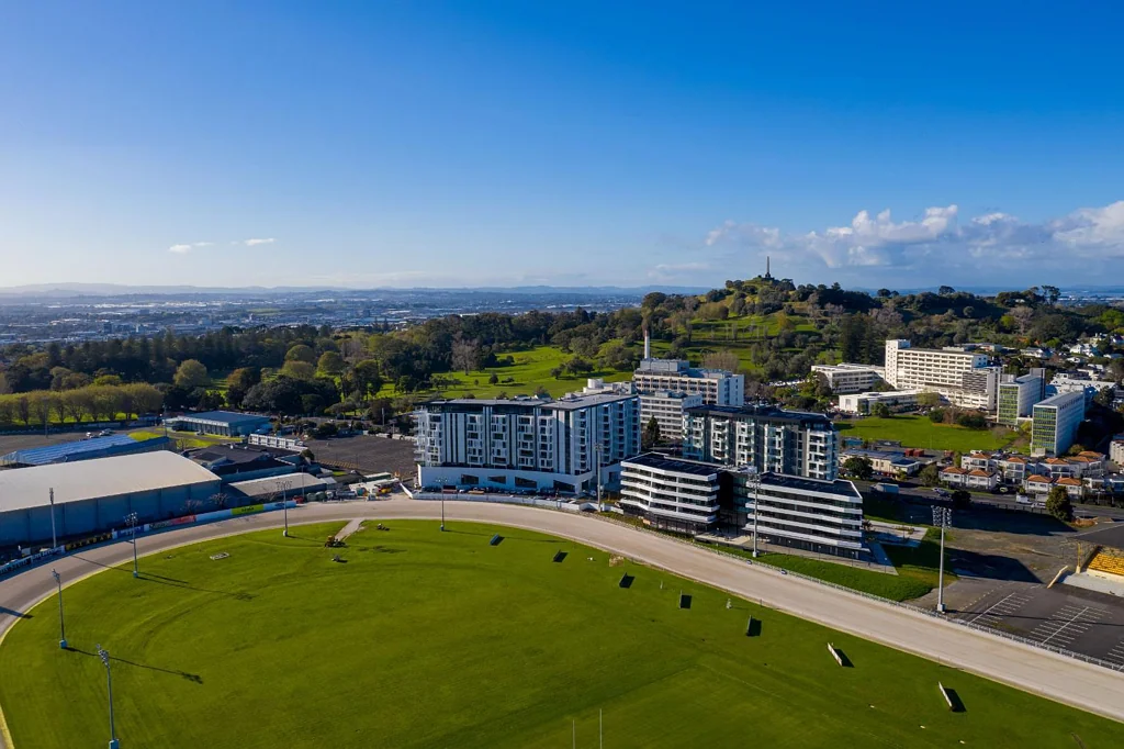 Luxury Alexandra Park Apartment