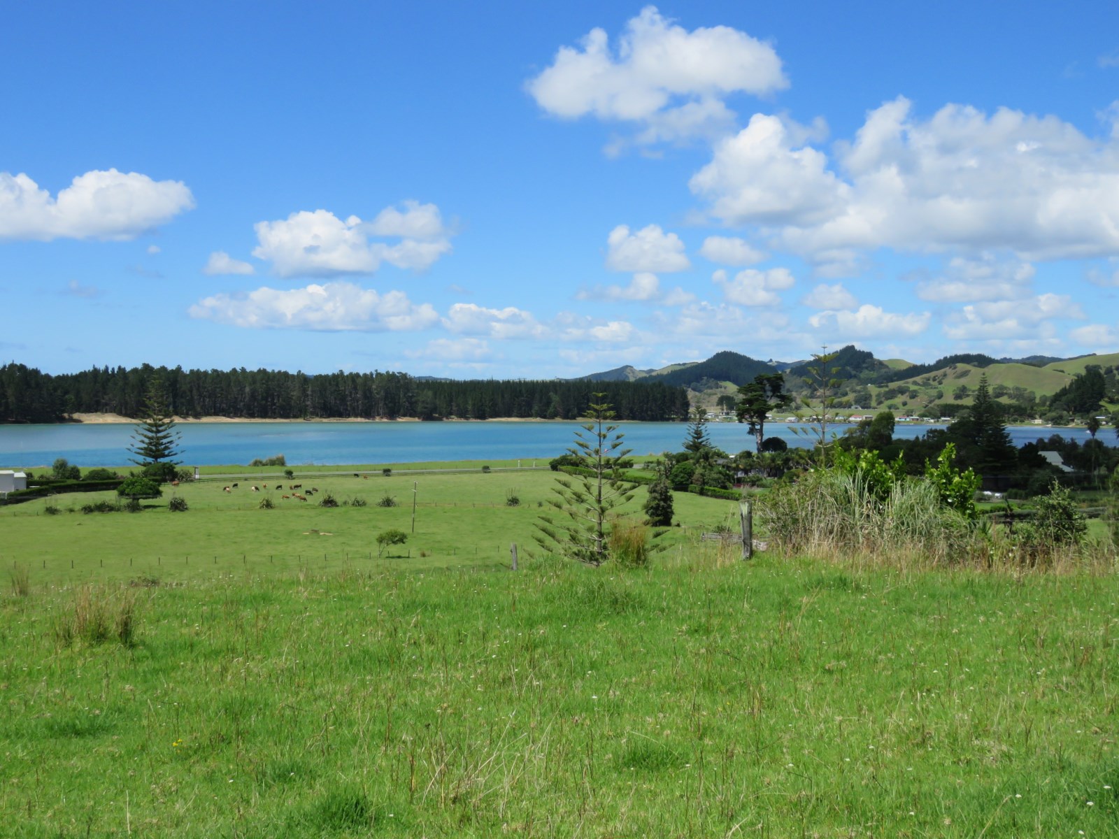 Whananaki North Road, Whananaki, Whangarei, 0 Schlafzimmer, 0 Badezimmer