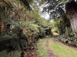 Harrington Mill Road, Catlins Surrounds