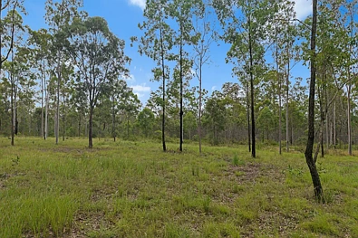 67 Avin Road, Magnolia, QLD 4650, 0 slaapkamers, 0 badkamers, Lifestyle Section
